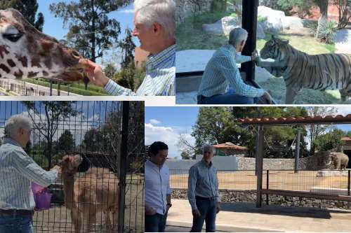 Video: Reabre sus puertas zoológico de Zacango en Calimaya Edomex